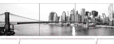 Экран для ванны МетаКам Ультралегкий Арт 1.48 - фото