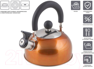 Чайник со свистком Perfecto Linea Holiday 52-112014 (оранжевый металлик)