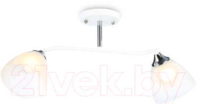 Потолочный светильник Ambrella Traditional / TR303001