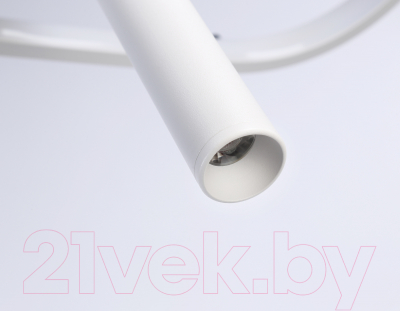 Потолочный светильник Ambrella Comfort / FL5383