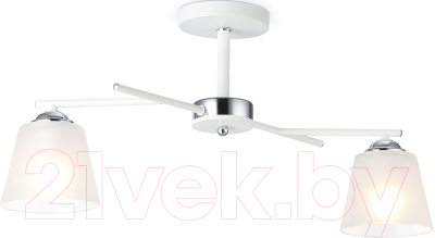 Потолочный светильник Ambrella Traditional / TR303201 - фото