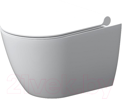 Унитаз подвесной Damixa Apollo DX22C1700SC - фото