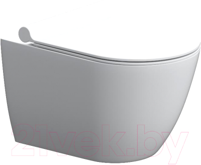 Унитаз подвесной Damixa Scandinavian DX36C1701SC (с сиденьем) - фото