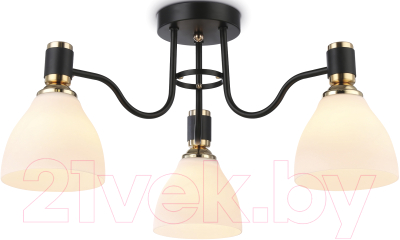 Люстра Ambrella Traditional / TR303303 - фото