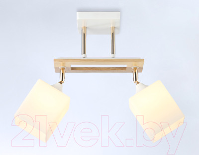 Потолочный светильник Ambrella Traditional / TR9501