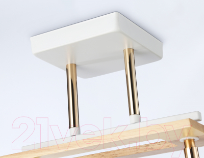 Потолочный светильник Ambrella Traditional / TR9501