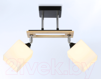 Потолочный светильник Ambrella Traditional / TR9503