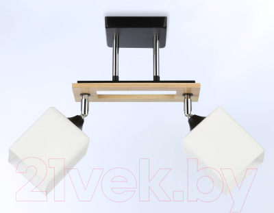 Потолочный светильник Ambrella Traditional / TR9503