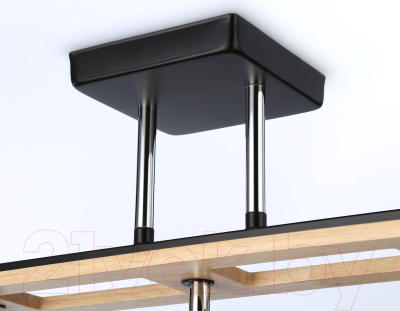 Потолочный светильник Ambrella Traditional / TR9525