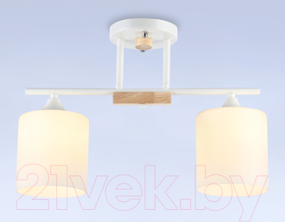 Потолочный светильник Ambrella Traditional / TR9541