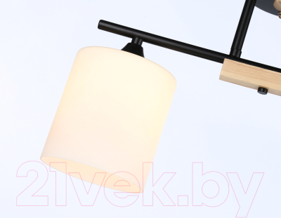 Потолочный светильник Ambrella Traditional / TR9543