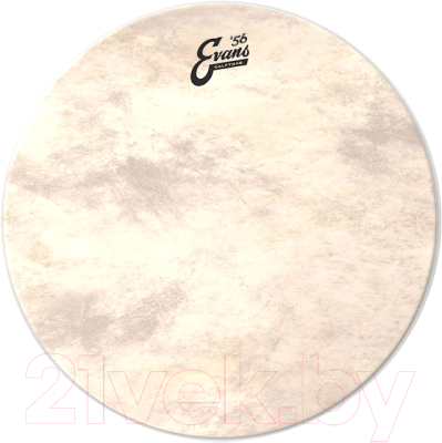 Пластик для барабана Evans BD22CT - фото