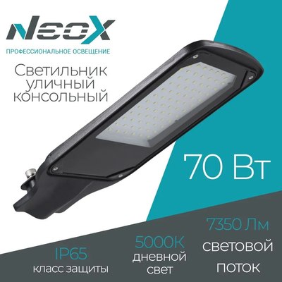 Светильник уличный Neox ДКУ-02