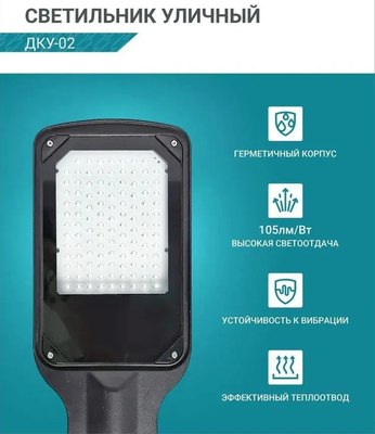 Светильник уличный Neox ДКУ-02