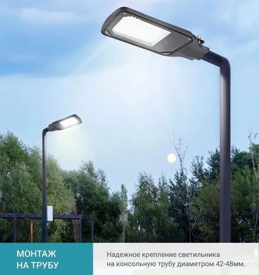 Светильник уличный Neox ДКУ-02