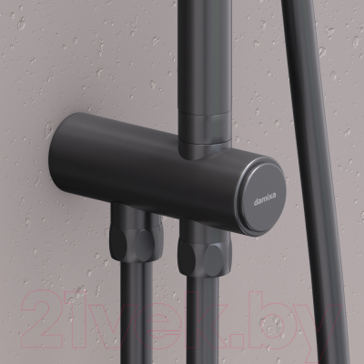 Душевая система Damixa Gala 953000300