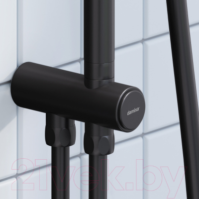 Душевая система Damixa Merkur 940000300