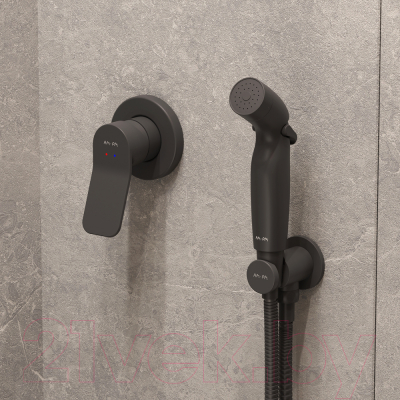 Унитаз подвесной AM.PM Spirit CK70GH