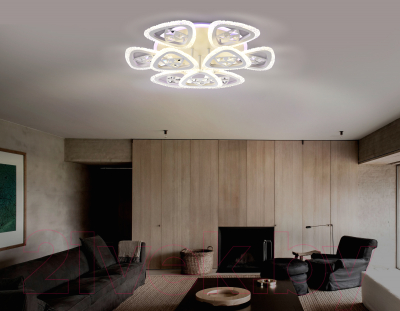 Потолочный светильник Ambrella Acrylica / FA2921