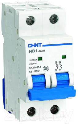 Выключатель автоматический Chint NB1-63H 2P 10A 10кА C (R) / 179824 - фото