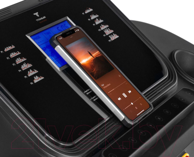 Электрическая беговая дорожка Titanium Masters Physiotech A360