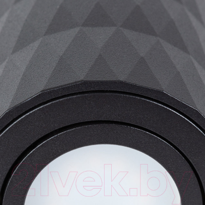 Точечный светильник Arte Lamp Fang A5559PL-1BK