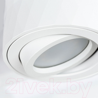 Точечный светильник Arte Lamp Fang A5559PL-1WH