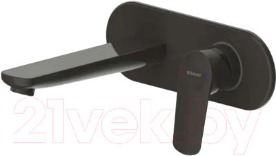 Смеситель Bravat Rhein P8429564BW-ENG - фото