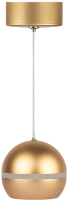 Потолочный светильник ЭРА PL21 GD GX53 / Б0058506