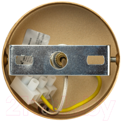 Потолочный светильник ЭРА PL21 GD GX53 / Б0058506