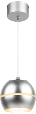 Потолочный светильник ЭРА PL21 SL GX53 / Б0058505 - фото