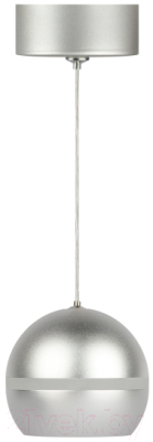 Потолочный светильник ЭРА PL21 SL GX53 / Б0058505