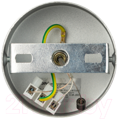 Потолочный светильник ЭРА PL21 SL GX53 / Б0058505