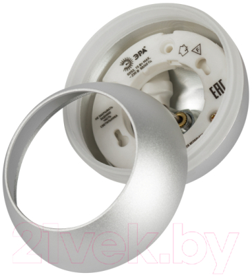 Потолочный светильник ЭРА PL21 SL GX53 / Б0058505