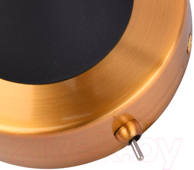 Подсветка для картин и зеркал Arte Lamp Sol A7908AP-1BK