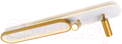 Потолочный светильник Arte Lamp Lucas A2600PL-32GO - фото