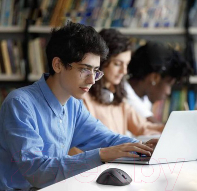 Мышь Ugreen MU101 / 90395