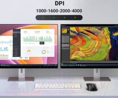 Мышь Ugreen MU101 / 90395