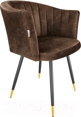 Стул Sheffilton SHT-ST42-1/S95-1 - фото