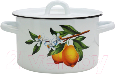 Кастрюля Эмаль Лимоны 01-1610.1/4М - фото
