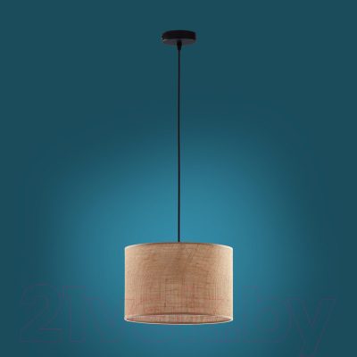 Потолочный светильник TK Lighting Juta 6580