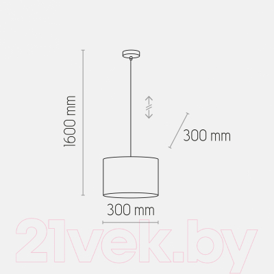 Потолочный светильник TK Lighting Juta 6580