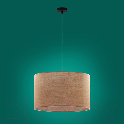 Потолочный светильник TK Lighting Juta 6582