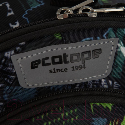 Детский рюкзак Ecotope +пенал / 380-2020-KCL (хаки)