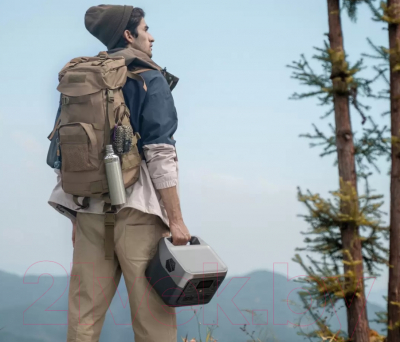 Портативная зарядная станция EcoFlow River 2 Max / EFR610