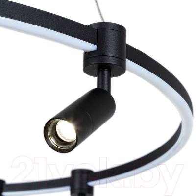 Потолочный светильник Arte Lamp Ring A2186SP-1BK