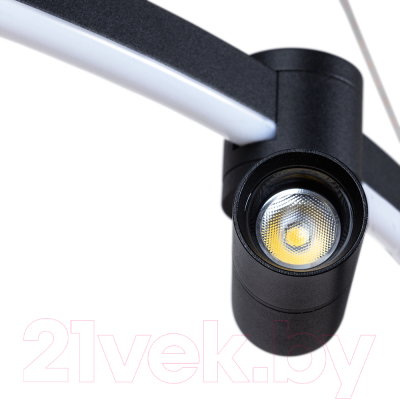 Потолочный светильник Arte Lamp Ring A2186SP-1BK