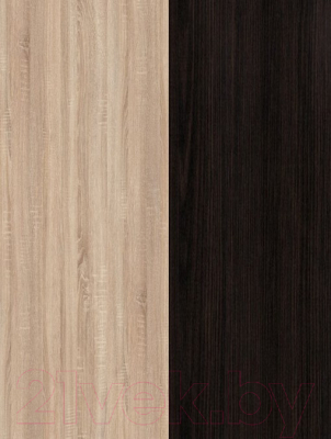 Кухонный гарнитур Eligard Lion 1 1.6 (дуб сонома/дуб марбург/королевский опал)