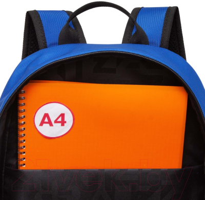 Школьный рюкзак Grizzly RB-351-8