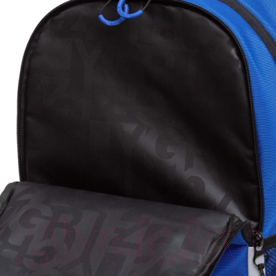 Школьный рюкзак Grizzly RB-351-8